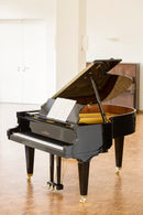 Flügel Schimmel 182