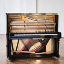 Klavier Steinway & Sons K-132