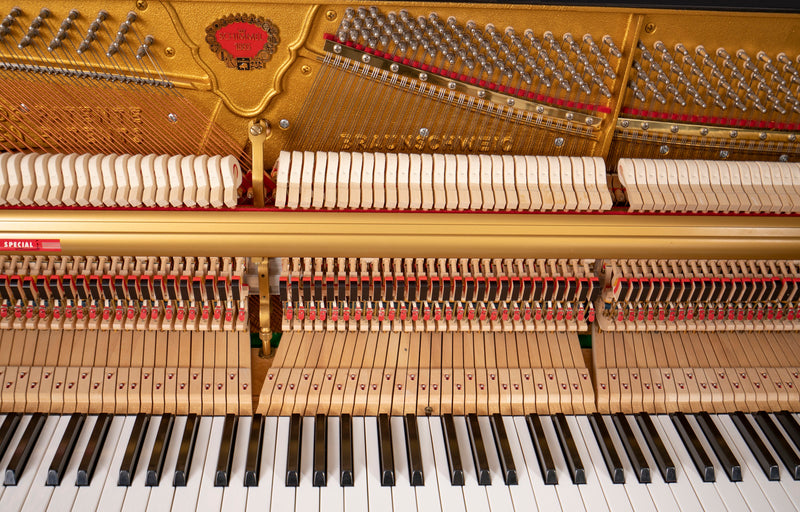 Schimmel C-116